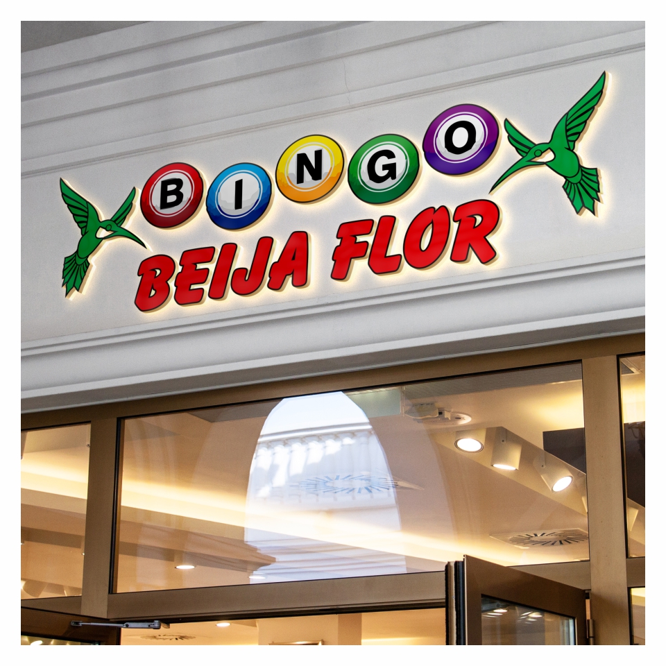 criacao – logo – beija flor